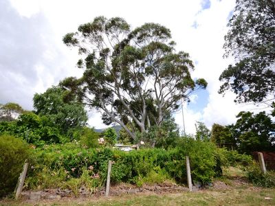 22-24 Ryders Lane , Tawonga