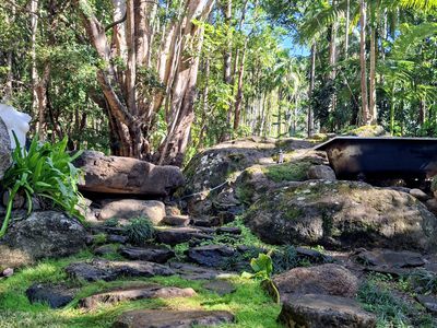 771 Left Bank Road, Mullumbimby Creek