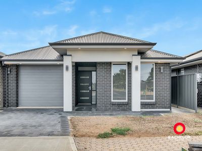 13 Gaynor Avenue, Paralowie