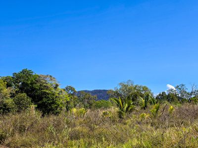556 Mount Amos Road, Cooktown