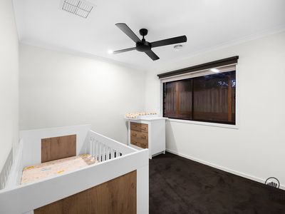 12 Freshman Avenue, Clyde