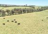 Lot 101 Strathmore Lane, Molong