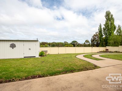 16 Bates Avenue, Glen Innes