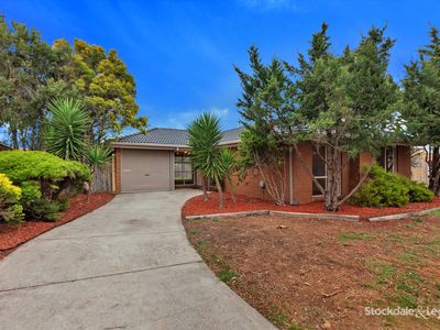 17 Harcourt Square, Wyndham Vale