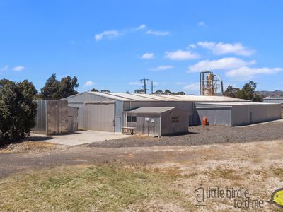 6 DARCY STREET, Seymour