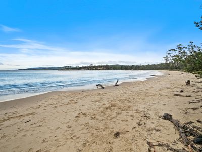 84 Williams Road, Randalls Bay