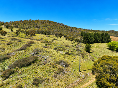 Lot 208 Foggy Forest Drive, Anembo