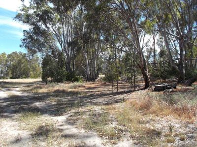 Koondrook