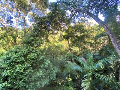 20 Rainforest Street, Cooktown