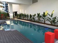 204 / 43 Harbour Town Drive, Biggera Waters