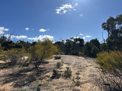 454 Cainbil Road, Coolah