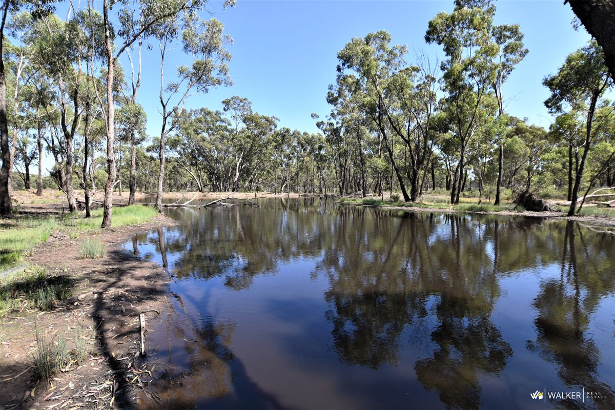 107b Murchison-Whroo Road, Whroo
