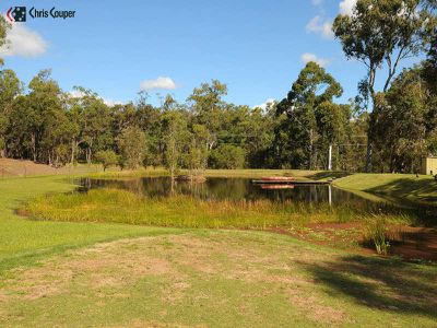 443 Bingham Road, Booral