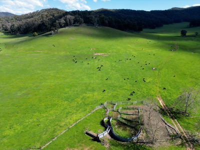 'Eastmore' 1177 Callaghan Creek Road, Mitta Mitta