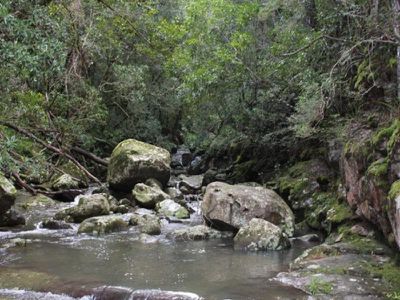Lot 322 / 3 Lot 322/3 Upper Kangaroo River Road, Kangaroo Valley