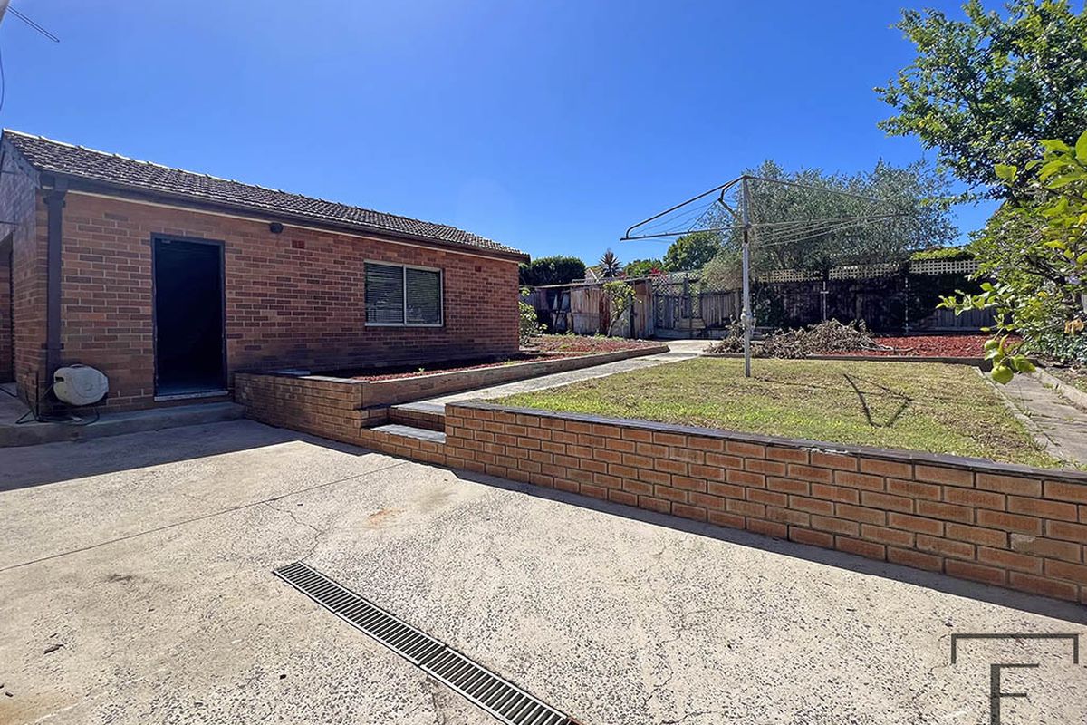11 Wolseley Street, Haberfield
