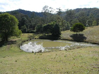 Maleny