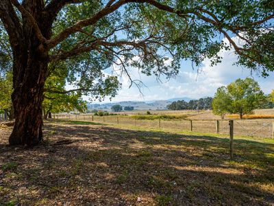 1454 Yackandandah-Dederang Road, Dederang