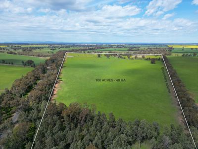 'Burnside' 1009 Howlong-Balldale Road, Balldale
