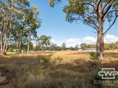 24 Marshall Way, Emmaville