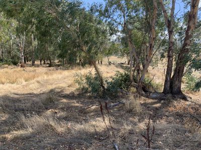 Yackandandah-Wodonga Road, Yackandandah