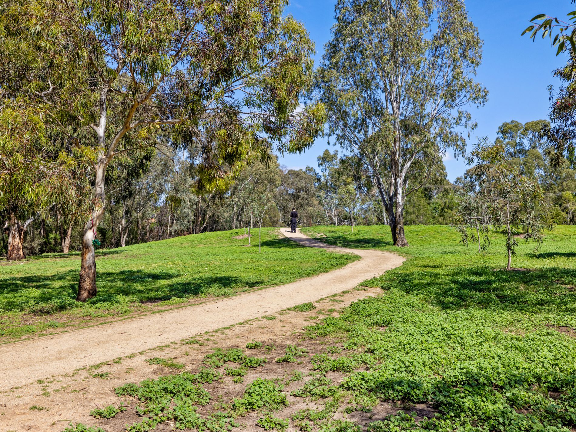 16 / 5 Lewis Street, Kingsville