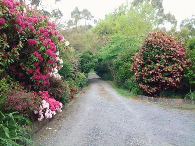11 Wynn Avenue, Mount Macedon