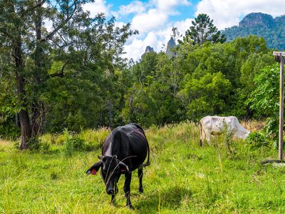 219 Stony Chute Road, Nimbin