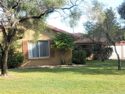 31 Doretta Street, Shailer Park