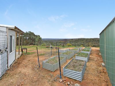 415 Youngs Lane, Tooborac