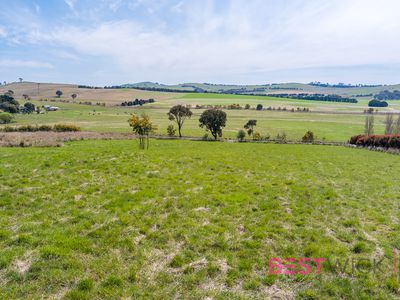 377 Browns Creek Road, Browns Creek Via, Blayney