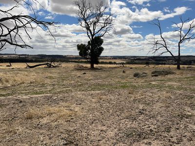 351 Cooke Road, East Popanyinning