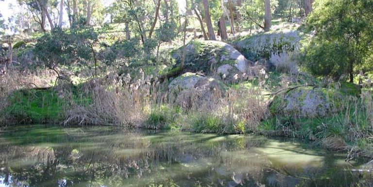 291 Brookleigh Road, Strathbogie
