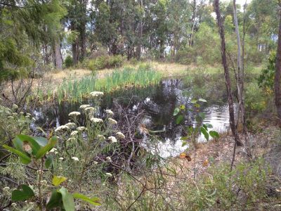 Lot 1 Lanes Road, Glen Huon