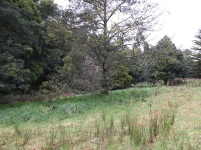 Lot 5 Cairns Road, Surges Bay