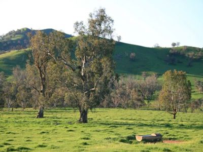 Wirrianda East, Albury