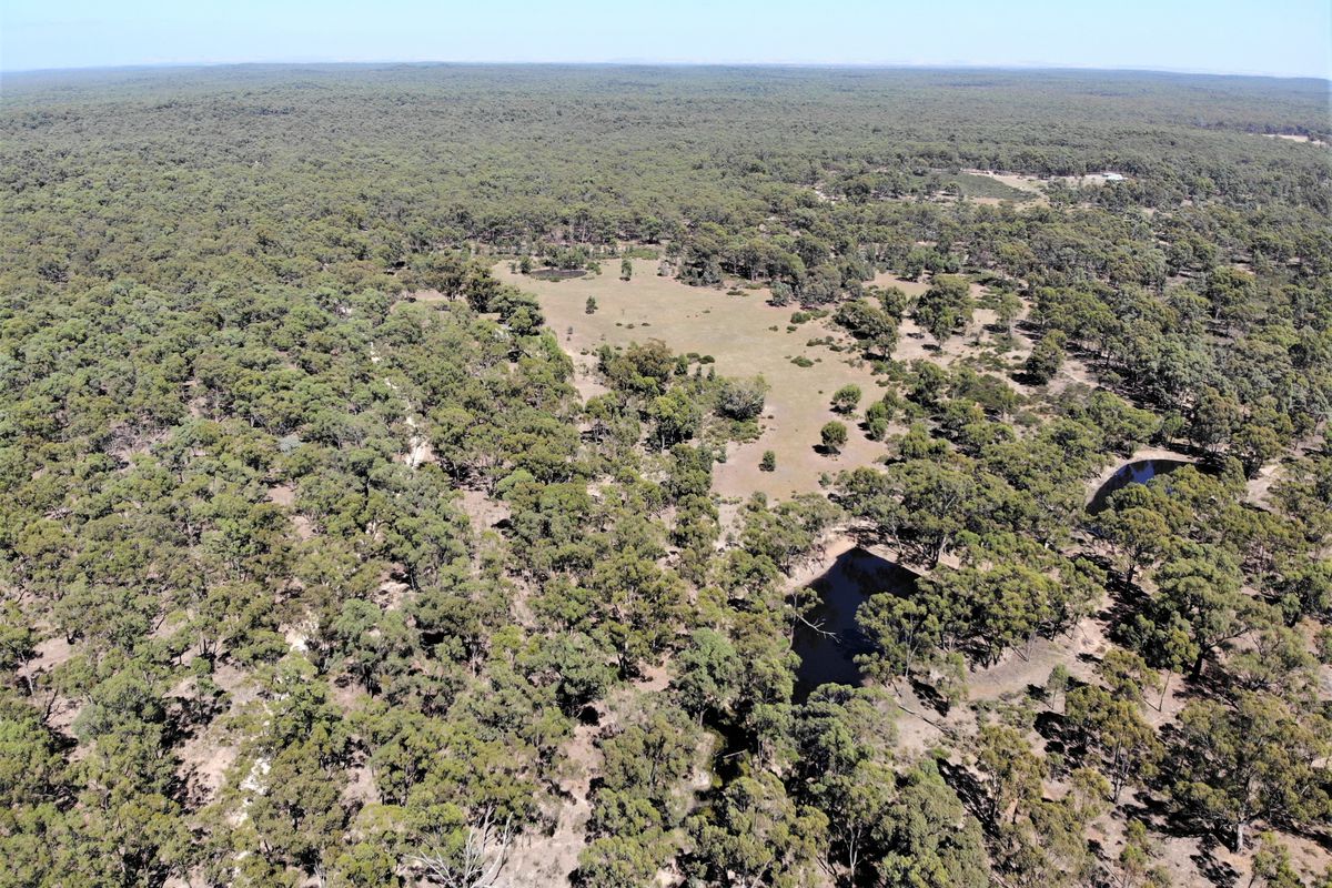 107b Murchison-Whroo Road, Whroo