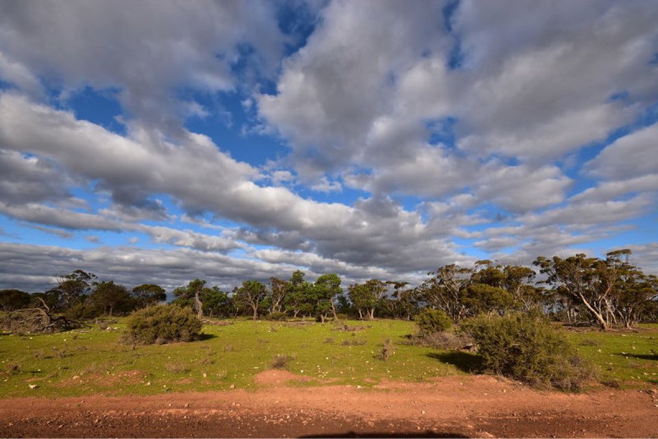 190 Battans Road, Sedan