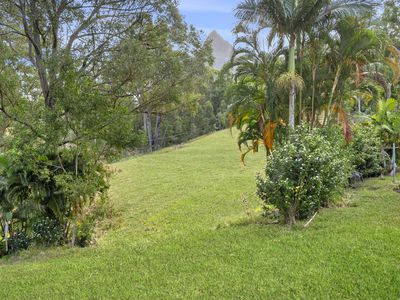 319 Mount Beerwah Road, Glass House Mountains