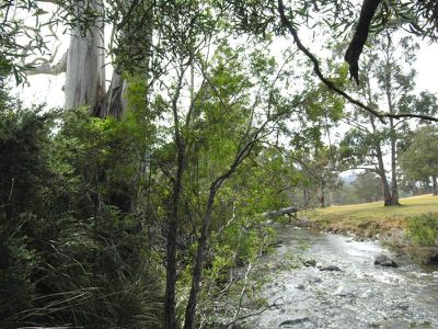 Eld Road, Lonnavale