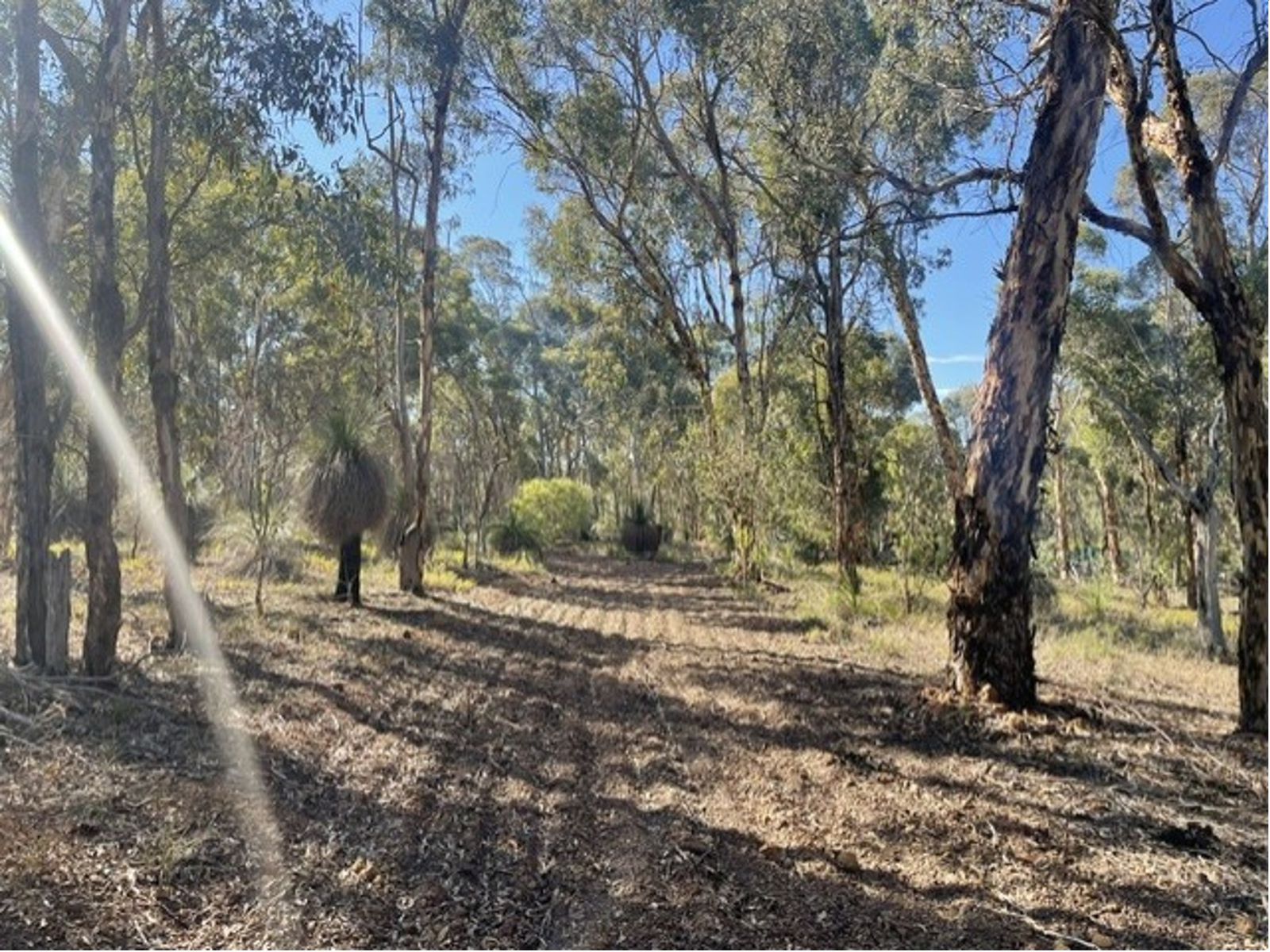 Lot 56 Hidaway Drive, Bindoon
