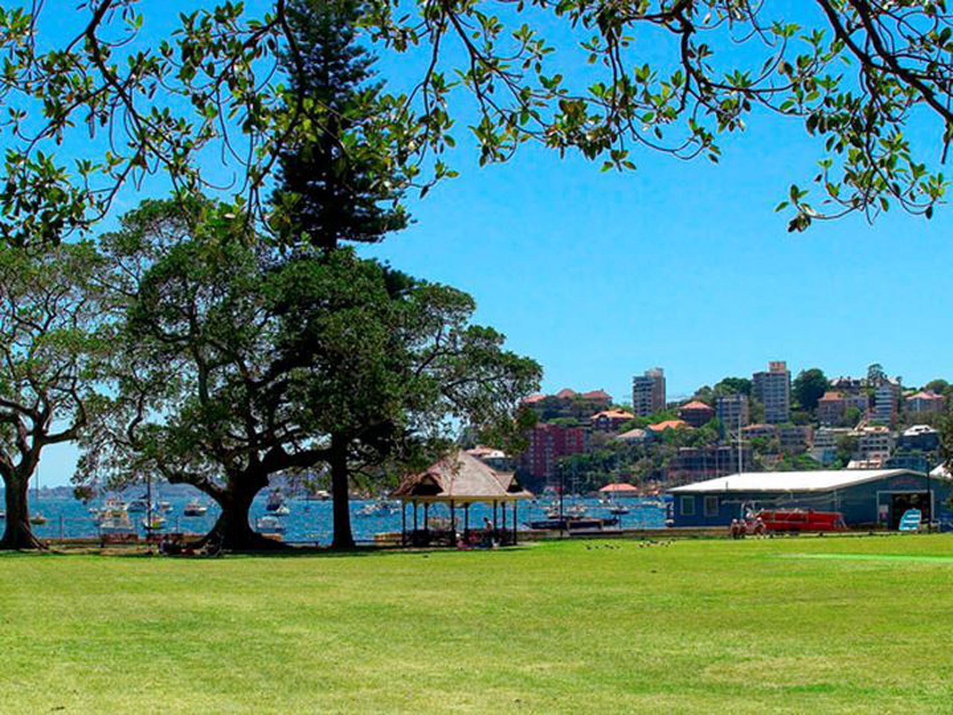 1 / 23 William Street, Double Bay