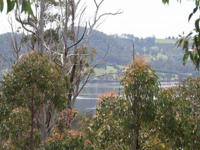140 Esperance Coast Road, Surges Bay