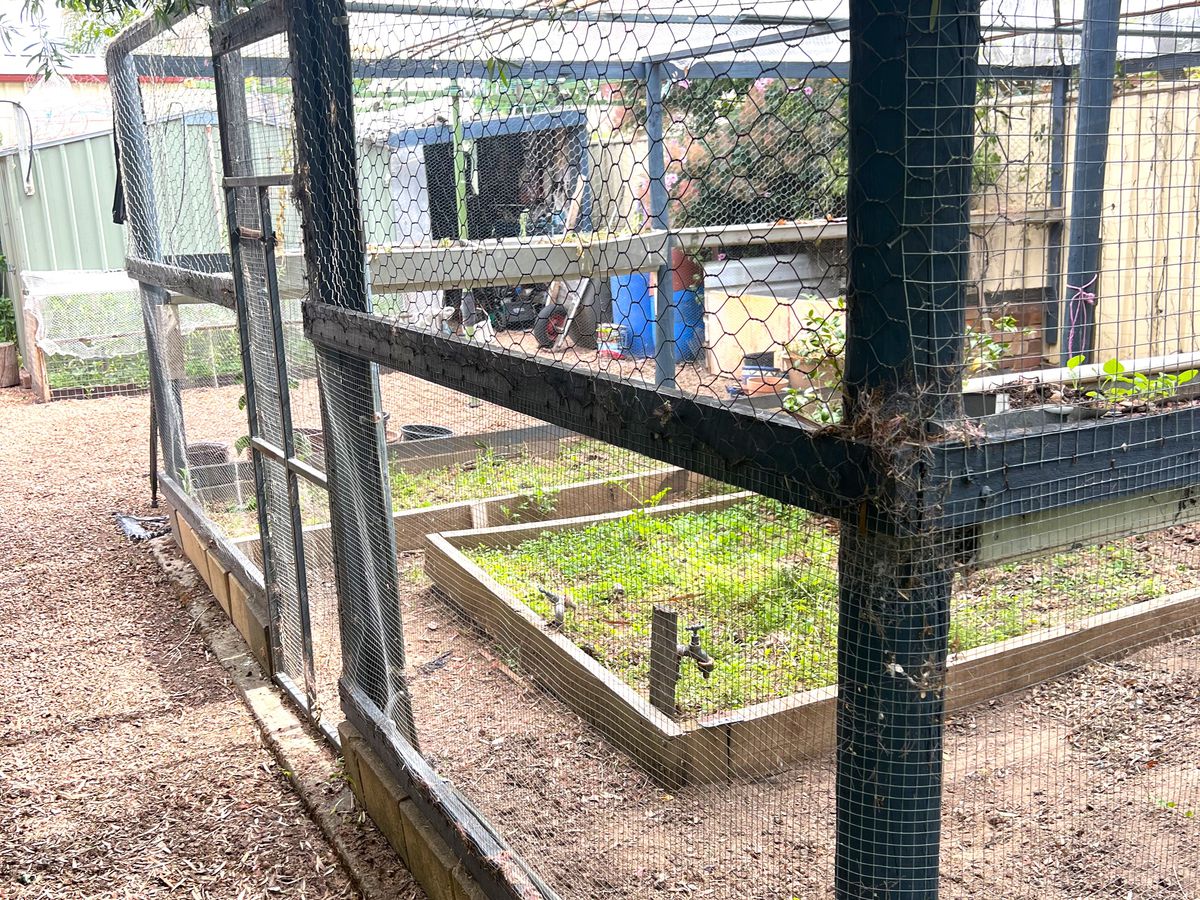 16 Moran Street, Benalla