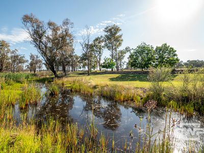 391 Carrot Farm Road, Deepwater