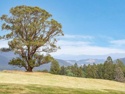 160 Coal Mine Road, Kaoota