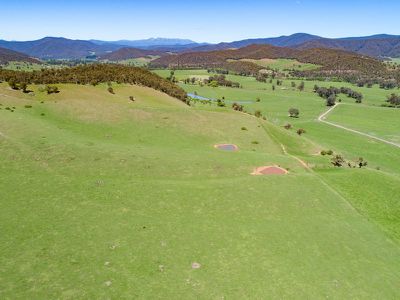 Lot 1 & 2 Bullhead Road, Mitta Mitta