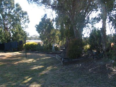 Emmaville