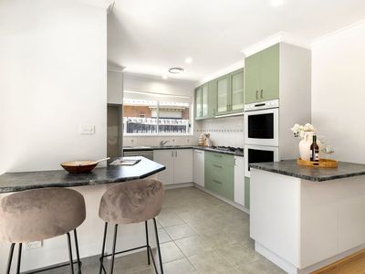 43 Ester Crescent, Clayton South
