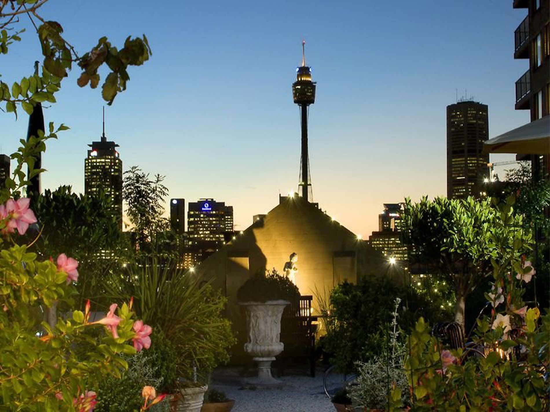 11 / 18 Springfield Avenue, Potts Point